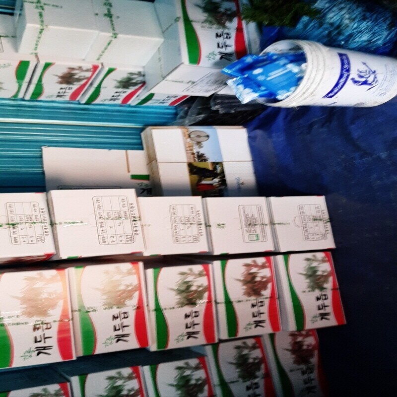 삼산1리개두릅농산물농원,2025년도 (예약판매) 봄철 개두릅 잎