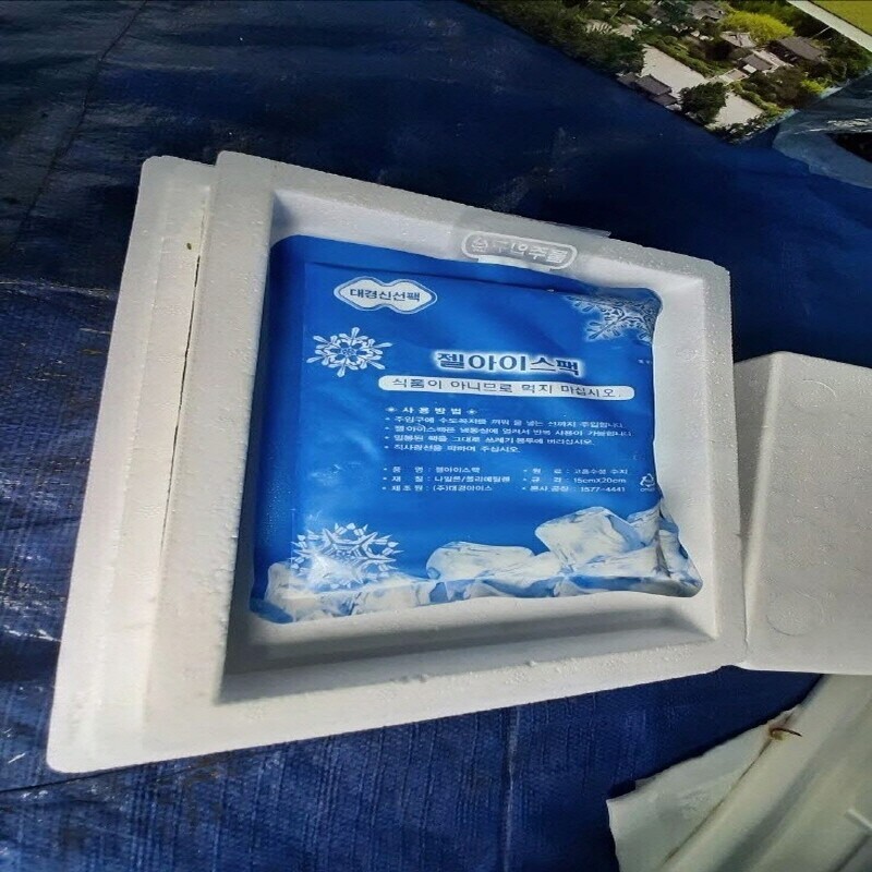 삼산1리개두릅농산물농원,2025년도 (예약판매) 봄철 개두릅 잎
