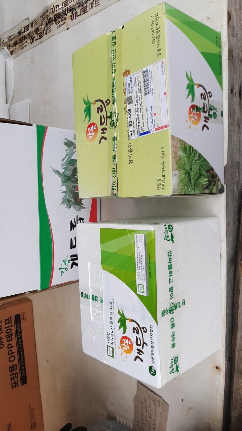 삼산1리개두릅농산물농원,2025년도 (예약판매) 봄철 개두릅 잎